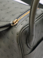 HERMES Mini Lindy Ostrich - Vert Amande with Gold Hardware [U]