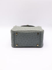 HERMES Mini Lindy Ostrich - Vert Amande with Gold Hardware [U]