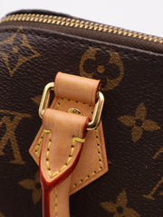 LOUIS VUITTON Speedy Bandouliere 20 - Black Strap