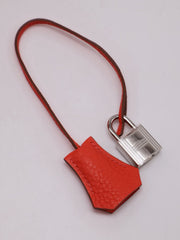 HERMES Birkin 30 - Rose Texas with Palladium Hardware [🅁]