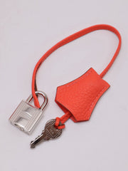HERMES Birkin 30 - Rose Texas with Palladium Hardware [🅁]