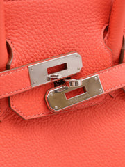 HERMES Birkin 30 - Rose Texas with Palladium Hardware [🅁]