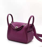 HERMES Mini Lindy - Anemone with Palladium Hardware