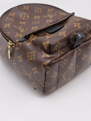 LOUIS VUITTON Palm Springs Mini Backpack