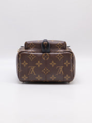 LOUIS VUITTON Palm Springs Mini Backpack