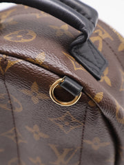LOUIS VUITTON Palm Springs Mini Backpack