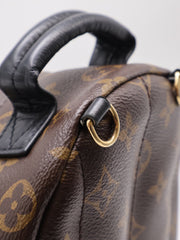 LOUIS VUITTON Palm Springs Mini Backpack