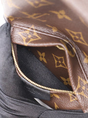 LOUIS VUITTON Palm Springs Mini Backpack