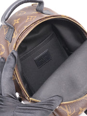 LOUIS VUITTON Palm Springs Mini Backpack