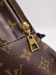 LOUIS VUITTON Palm Springs Mini Backpack