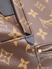 LOUIS VUITTON Palm Springs Mini Backpack