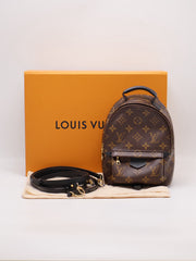 LOUIS VUITTON Palm Springs Mini Backpack