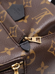 LOUIS VUITTON Palm Springs Mini Backpack