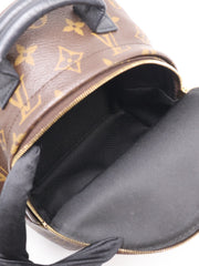 LOUIS VUITTON Palm Springs Mini Backpack