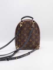 LOUIS VUITTON Palm Springs Mini Backpack