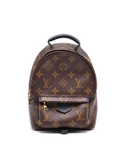 LOUIS VUITTON Palm Springs Mini Backpack