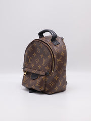 LOUIS VUITTON Palm Springs Mini Backpack