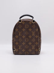 LOUIS VUITTON Palm Springs Mini Backpack