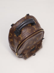 LOUIS VUITTON Palm Springs Mini Backpack
