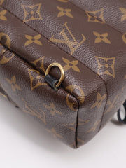 LOUIS VUITTON Palm Springs Mini Backpack