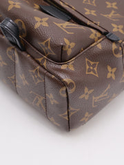 LOUIS VUITTON Palm Springs Mini Backpack