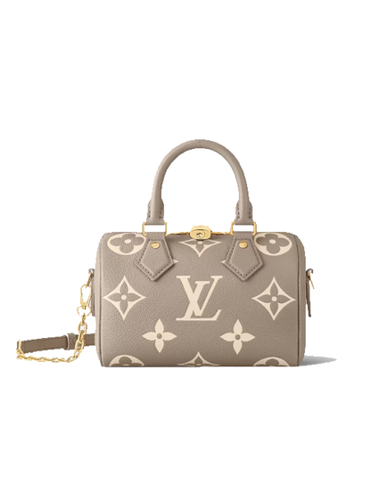 LOUIS VUITTON Speedy20