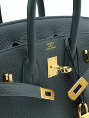 HERMES Birkin 25 - Vert Mangrove with Gold Hardware