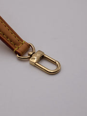 LOUIS VUITTON Nano Diane